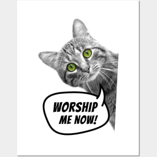 Worship me now! Posters and Art